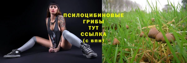 скорость mdpv Тавда