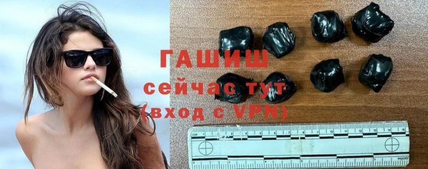 мяу мяу мука Тайга