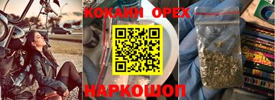 стафф Будённовск