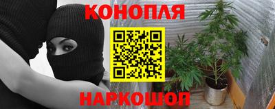 наркотики Аргун