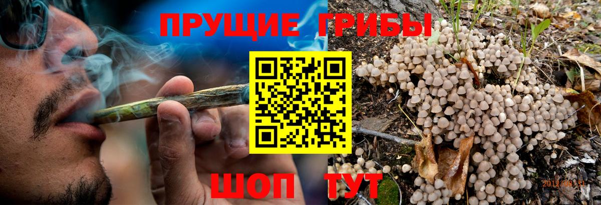 Волгодонск  цены наркотик  Вход с VPN  Галлюциногенные грибы мицелий  Галлюциногенные грибы GOLDEN TEACHER 